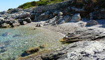 Image 03